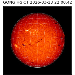 gong - 2026-03-13T22:00:42