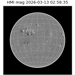 shmi - 2026-03-13T02:58:35