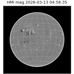 shmi - 2026-03-13T04:58:35