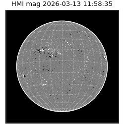 shmi - 2026-03-13T11:58:35