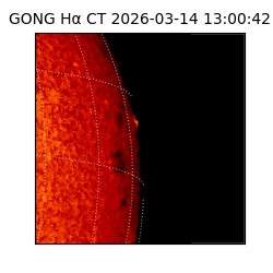 gong - 2026-03-14T13:00:42