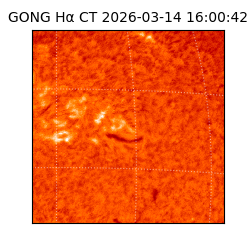 gong - 2026-03-14T16:00:42