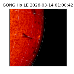 gong - 2026-03-14T01:00:42