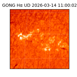 gong - 2026-03-14T11:00:02