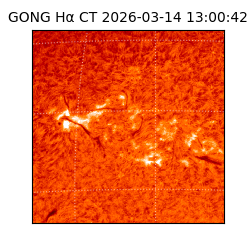 gong - 2026-03-14T13:00:42