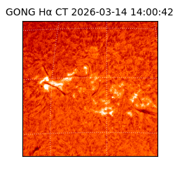 gong - 2026-03-14T14:00:42