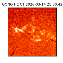 gong - 2026-03-14T21:00:42