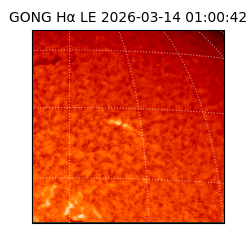 gong - 2026-03-14T01:00:42