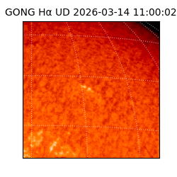 gong - 2026-03-14T11:00:02