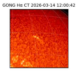 gong - 2026-03-14T12:00:42