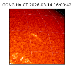 gong - 2026-03-14T16:00:42
