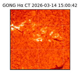 gong - 2026-03-14T15:00:42