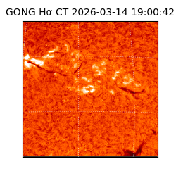 gong - 2026-03-14T19:00:42