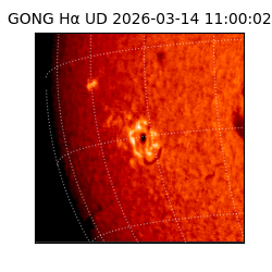 gong - 2026-03-14T11:00:02