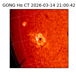 gong - 2026-03-14T21:00:42