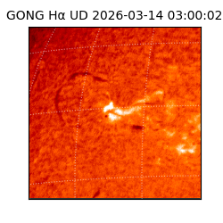 gong - 2026-03-14T03:00:02