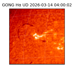 gong - 2026-03-14T04:00:02