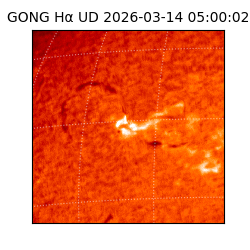 gong - 2026-03-14T05:00:02