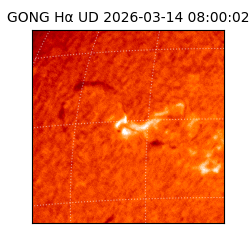 gong - 2026-03-14T08:00:02