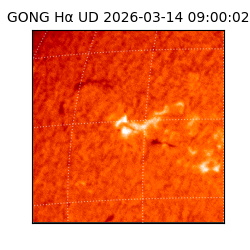 gong - 2026-03-14T09:00:02