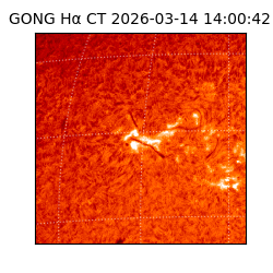 gong - 2026-03-14T14:00:42