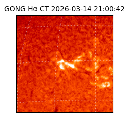 gong - 2026-03-14T21:00:42