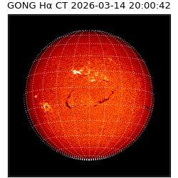 gong - 2026-03-14T20:00:42