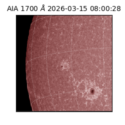 saia - 2026-03-15T08:00:28.455000