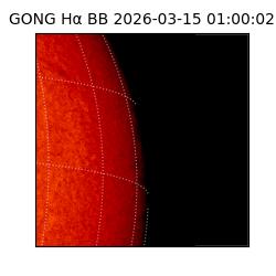 gong - 2026-03-15T01:00:02