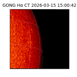 gong - 2026-03-15T15:00:42