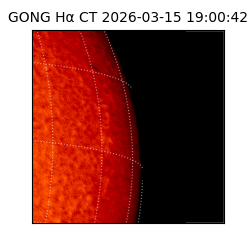 gong - 2026-03-15T19:00:42