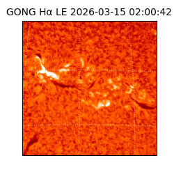 gong - 2026-03-15T02:00:42