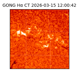 gong - 2026-03-15T12:00:42