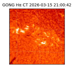 gong - 2026-03-15T21:00:42