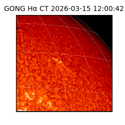 gong - 2026-03-15T12:00:42