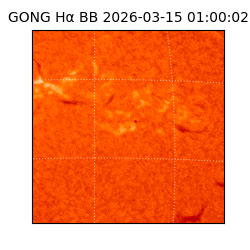 gong - 2026-03-15T01:00:02