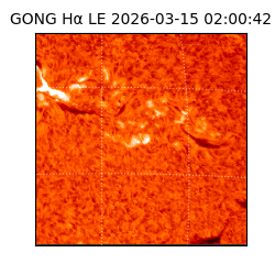 gong - 2026-03-15T02:00:42