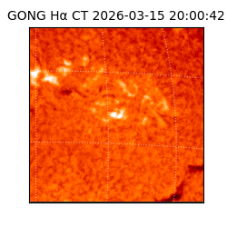 gong - 2026-03-15T20:00:42