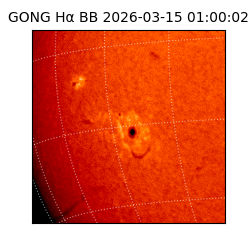 gong - 2026-03-15T01:00:02