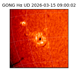 gong - 2026-03-15T09:00:02