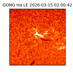 gong - 2026-03-15T02:00:42