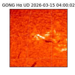 gong - 2026-03-15T04:00:02