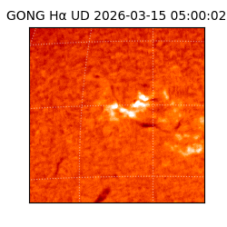 gong - 2026-03-15T05:00:02