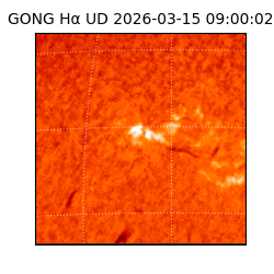 gong - 2026-03-15T09:00:02