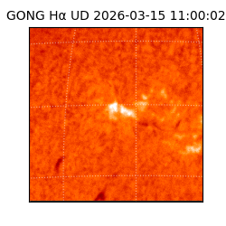 gong - 2026-03-15T11:00:02