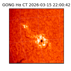 gong - 2026-03-15T22:00:42