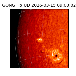 gong - 2026-03-15T09:00:02