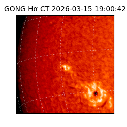 gong - 2026-03-15T19:00:42