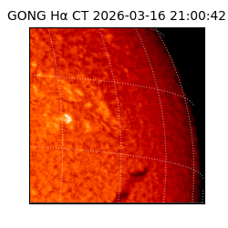 gong - 2026-03-16T21:00:42