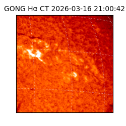 gong - 2026-03-16T21:00:42